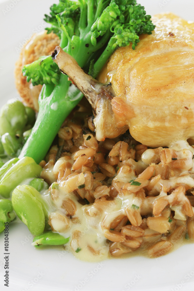 Poster healthy chicken plated meal with grain  and vegetables