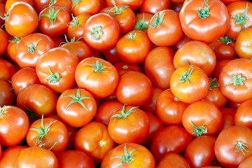Fresh red tomato