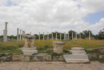 The ruins of the ancient city of Amathus in Cyprus
