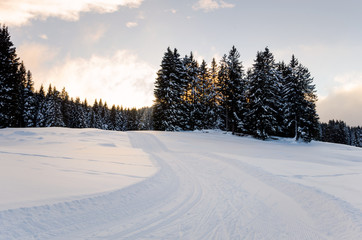 Winding Cross-country Skiing Track at Sunset