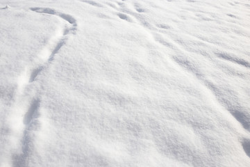 White background of snow on the nature