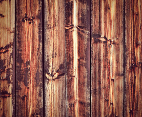 wall of the old spruce boards texture