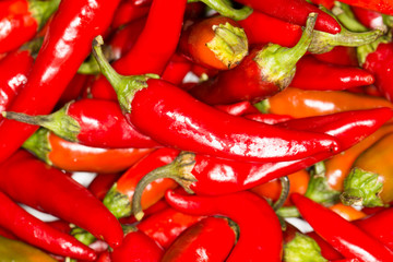 Heap Of Ripe Big Red Peppers