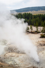 Yellowstone National Park