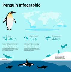 Penguins infographic. Emperor penguin. Flat design element. 