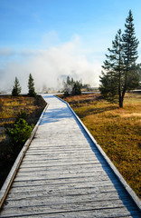 Yellowstone National Park