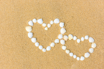 Fototapeta na wymiar sea shell hearts on the sand beach