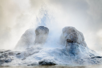 Yellowstone National Park