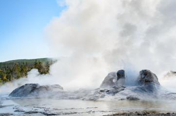 Yellowstone National Park