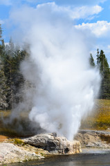 Yellowstone National Park