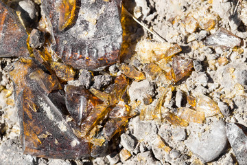 broken glass bottles