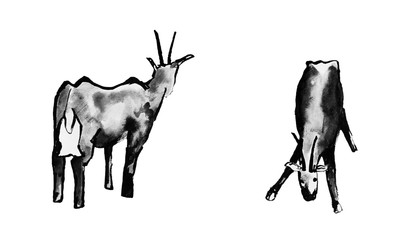 Obraz premium black and white sketch of two goats