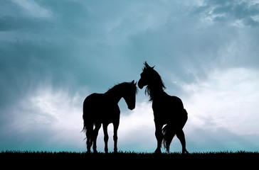 horses couple silhouette at sunset