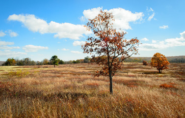 Shenandoah National Park