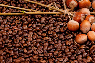 Closeup of coffee beans and filberts