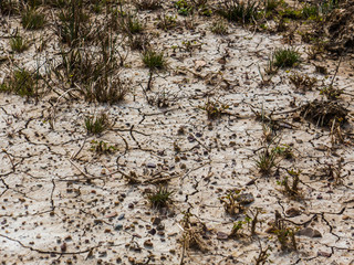 Dry soil