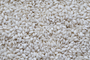 Rice close up white background