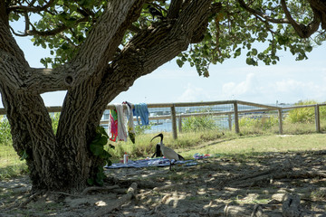 Australia © patryk77