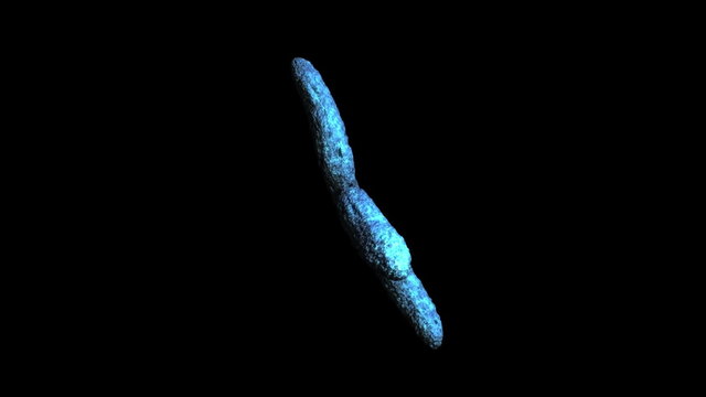 Animation of moving blue chromosomes