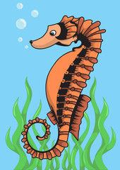 Vector illustration of a sea horse