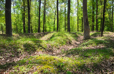 Richmond National Battlefield Park