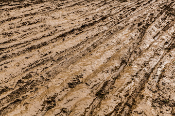 cyclo-cross