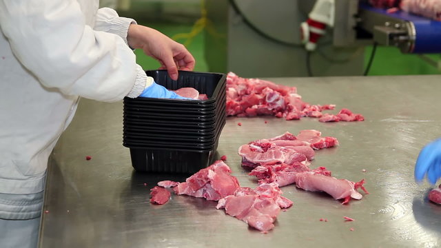 Worker Packing Ribeye Pork Chops