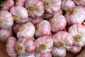 Knoblauch