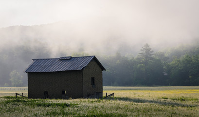 Monongahela National Forest