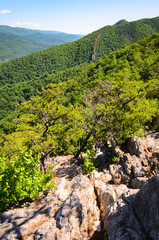 Seneca Rocks