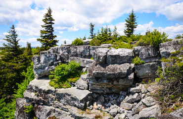 Bear Rocks Preserve