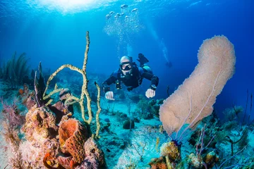 Abwaschbare Fototapete Tauchen Sidemount-Tauchen an einem Korallenriff