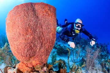 Crédence de cuisine en verre imprimé Plonger Sidemount diving on a Coral Reef