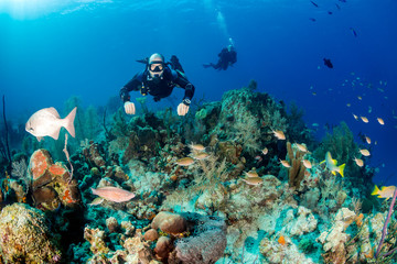 Naklejka na ściany i meble Sidemount diving on a Coral Reef