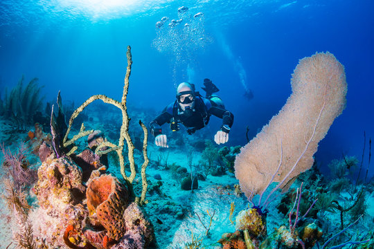 Sidemount diving on a Coral Reef