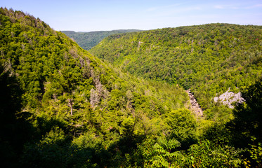 Blackwater Falls State Park