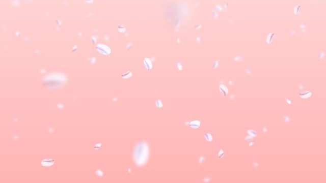 舞う桜・斜め(ピンク背景)