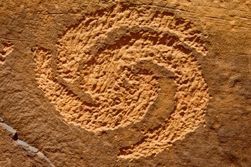 Dinosaur National Monument