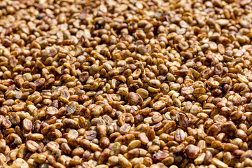 raw coffee bean soft focus for texture or background
