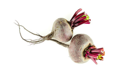Two beetroot bulbs with long stringy roots