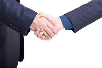 business shake hands