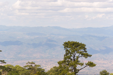 Lonely mountains trees.