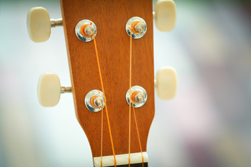  Close-up Head stock of wood guitar