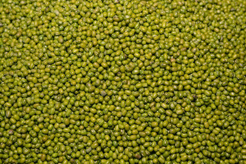 Mung Bean