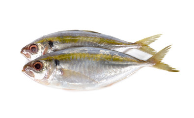 whole round fresh yellow-stripe scad fish on white background