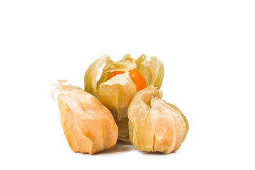 cape gooseberry isolate on white
