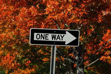 one way sign against autumn trees