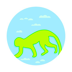 monkey  world wildlife day 