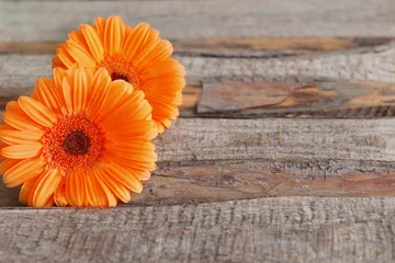 Photo sur Plexiglas Gerbera gerbera flowers on wooden background