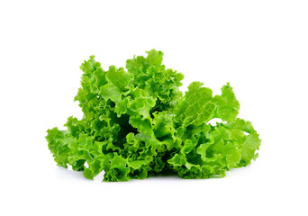 Fresh green lettuce on white background - obrazy, fototapety, plakaty